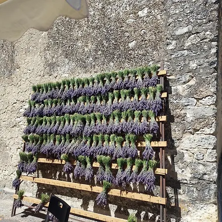 Mas De Reilhanette Montbrun-les-Bains
