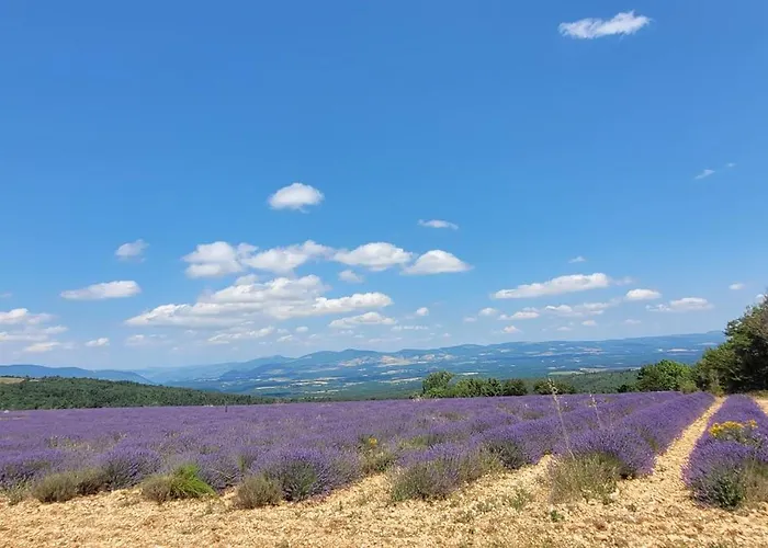 Mas De Reilhanette * Montbrun-les-Bains