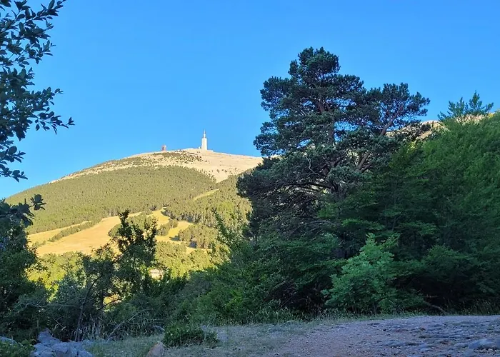 Mas De Reilhanette Bed & Breakfast *