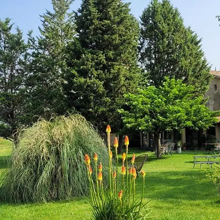 Mas De Reilhanette Bed and breakfast